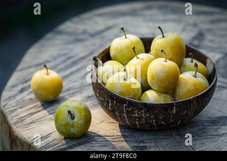 Greengage in bowl. Fresh harvested fruit. Ripe green plums Stock Photo