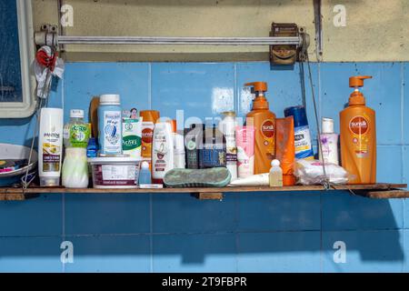 SAMUT PRAKAN, THAILAND, NOV 11 2023, Cosmetics of different brands on a shelf in the bathroom Stock Photo