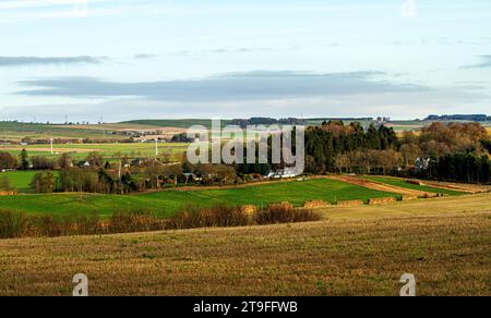 Dundee, Tayside, Scotland, UK. 25th Nov, 2023. UK Weather: Temperatures reached 1°C due to the cold and frosty weather. Early winter sunshine with chilly frosty weather offers beautiful scenery panoramas across the Sidlaw Hills and Strathmore Valley in rural Dundee. Credit: Dundee Photographics/Alamy Live News Stock Photo