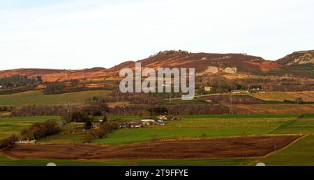 Dundee, Tayside, Scotland, UK. 25th Nov, 2023. UK Weather: Temperatures reached 1°C due to the cold and frosty weather. Early winter sunshine with chilly frosty weather offers beautiful scenery panoramas across the Sidlaw Hills and Strathmore Valley in rural Dundee. Credit: Dundee Photographics/Alamy Live News Stock Photo