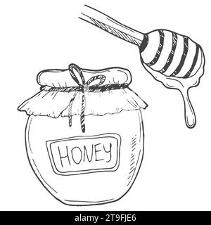 Honey in a glass jar with wooden spoon hand drawn outline doodle icon. Glass jar full of honey and stick line icon for infographic Stock Vector