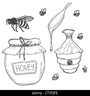 Honey set. Hand-drawn black doodle drawing. Vector illustration. Stock Vector