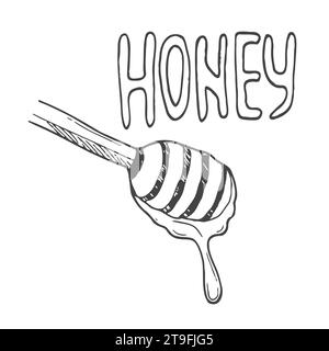 Honey lettering surrounded by bees and doodle flowers. Vector stylized background on a white background Stock Vector