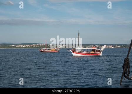 dolphin spotting excursion by boat in croatia on the adriatic sea Stock Photo