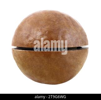 Macadamia, one whole unbroken nut isolated on a white background with clipping path. Full depth of field. Stock Photo