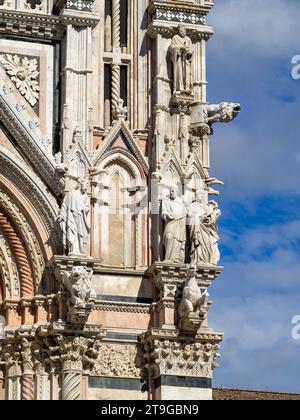 Gargoyle and Saints statues of the right corner of Siena Cathedral Stock Photo