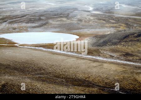 Arctic (cold) desert. Vegetation hides only on protected from wind territories if excess moisture. Polar bears have karst lake. Novaya Zemlya Archipel Stock Photo