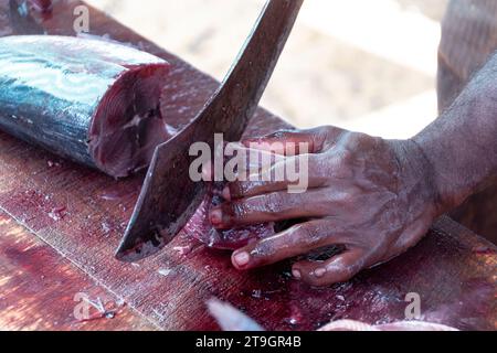 A person using a large knife chops up freshly caught tuna into pieces to sell at the market in Negombo Sri Lanka Stock Photo