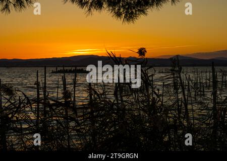 A beautiful sunset over Spain's Albufera Lake with a boatload of people sailing by and on the left side of the photo you can see a spider climbing its Stock Photo