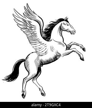 Flying Pegasus horse. Hand-drawn ink black and white drawing Stock Photo