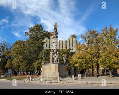 Polna historical city center of Bohemian town with square,column and cathedral and Polna castle and churches,panorama landscape view,Czech republic Stock Photo