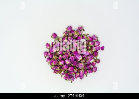 Rosebuds with white background. Stock Photo