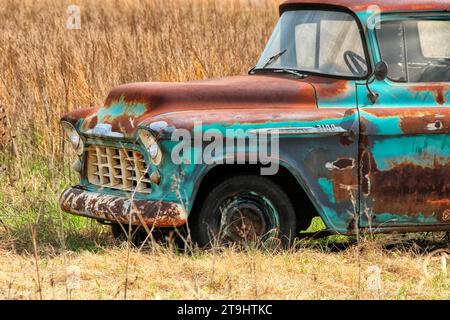 A vintage Chevrolet 3100 blue pickup truck with heavy patina sits in an Oklahoma field. Stock Photo