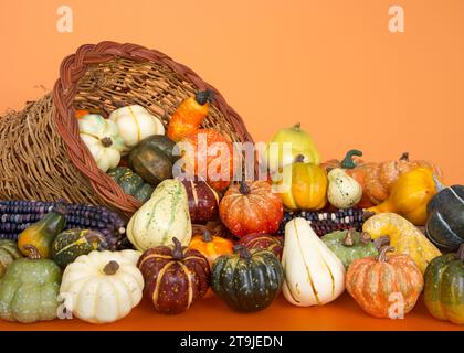 Close up of a cornucopia basket filled over flowing with gourds, pumpkins, squash and indian corn on orange background. Stock Photo