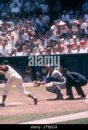 PITTSBURGH, PA - JUNE 26:  Gino Cimoli #20 of the Pittsburgh Pirates swings at the pitch as Jim Hegan #41 of the Chicago Cubs and umpire Vinnie Smith set up behind the plate during an MLB game on June 26, 1960 at Forbes Field in Pittsburgh, Pennsylvania.  (Photo by Hy Peskin) *** Local Caption *** Gino Cimoli;Jim Hegan;Vinnie Smith Stock Photo