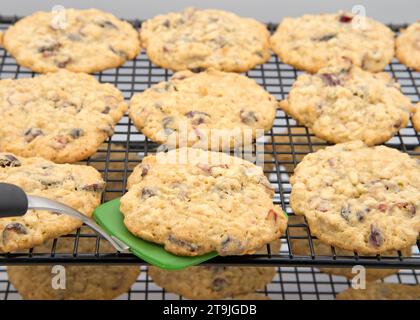 Close up of silicone spatula lifting freshly baked Oatmeal Cranberry cookie from cooling rack. Stock Photo
