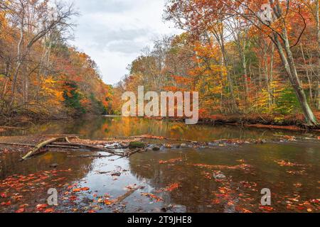 Clear Fork Branch of the Mohican River in autumn.  Mohican State Park. Perrysville. Ohio. USA Stock Photo