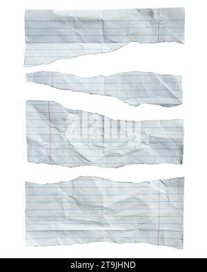 Torn lined notebook paper on white background with clipping path Stock Photo