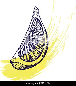 A cut piece of lemon with yellow splashes. Graphic botanical illustration hand drawn in blue ink. Isolated object EPS vector. Stock Vector