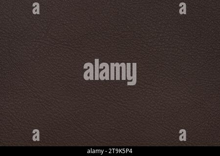 Dark brown full grain leather texture for background, high detailed Stock Photo