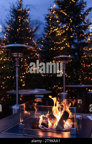 Fireplace and christmas trees with blurred lights  Stock Photo