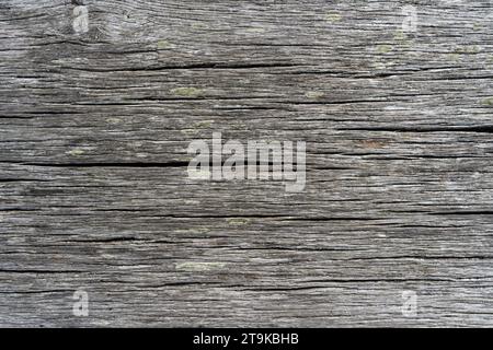 Old wood plank texture background. Light grey surface of wood with natural color Stock Photo