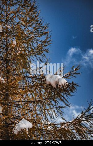 First snow in italian mountains Stock Photo