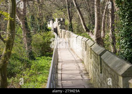 Walkway through York Minster gardens on the ramparts of York city wall, York, UK Stock Photo
