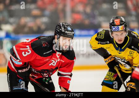 Aalborg, Denmark. 24th, November 2023. Tommy Giroux (73) of Aalborg Pirates seen during the Metal Liga ice hockey match between Aalborg Pirates and Herlev Eagles at Sparekassen Danmark Isarena in Aalborg. (Photo credit: Gonzales Photo - Balazs Popal). Stock Photo