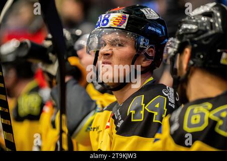 Aalborg, Denmark. 24th, November 2023. Olvier True (44) of Herlev Eagles seen during the Metal Liga ice hockey match between Aalborg Pirates and Herlev Eagles at Sparekassen Danmark Isarena in Aalborg. (Photo credit: Gonzales Photo - Balazs Popal). Stock Photo