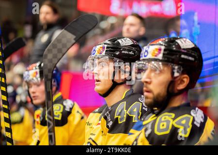 Aalborg, Denmark. 24th, November 2023. Olvier True (44) of Herlev Eagles seen during the Metal Liga ice hockey match between Aalborg Pirates and Herlev Eagles at Sparekassen Danmark Isarena in Aalborg. (Photo credit: Gonzales Photo - Balazs Popal). Stock Photo