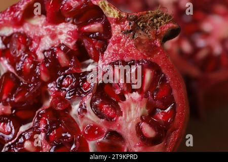 Red pomegranate seeds close up Stock Photo