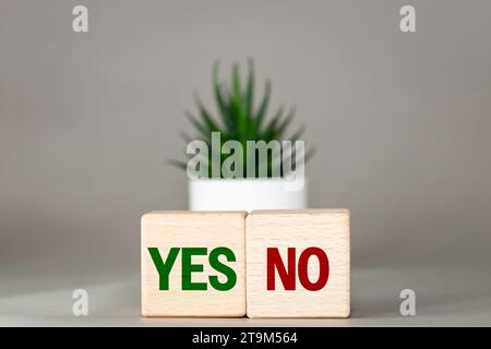 A yes or no choice. Positive or negative decision. Acceptance or rejection. Reverse words yes or no on the desk, colorful cubes and succulent on a bea Stock Photo