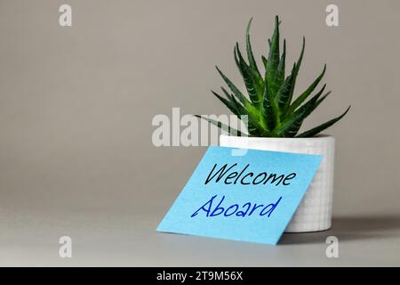 Welcome aboard, words written on a blue card and left on the desk with a beautiful succulent, us gray background. Business concept, strategy, plan, we Stock Photo