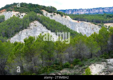 Trees in a dry area. Yesa reservoir. Aragon, Spain, Europe. Stock Photo