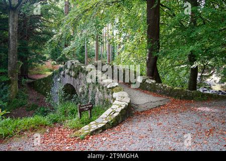 Foley's Bridge at Tollymore Forest Park, County Down, Northern Ireland Stock Photo