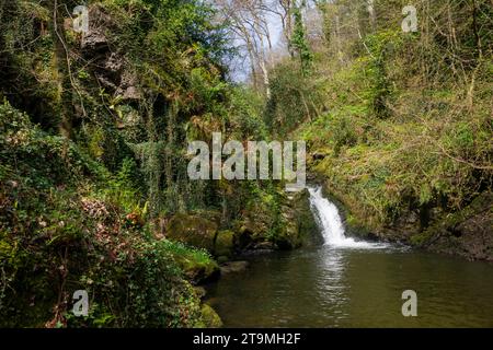 Plas Cadnant Hidden Gardens, Menai Bridge, Anglesey, North Wales. Stock Photo