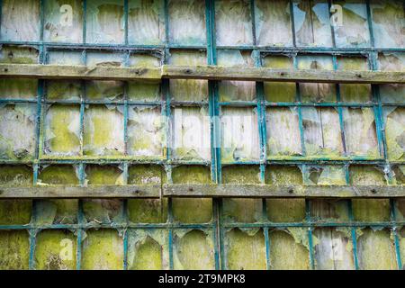 Boarded up, broken windows with green mould in a disused factory Stock Photo