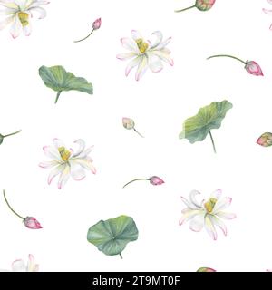 White pink lotus flowers, green leaves. Seamless pattern of blooming water lily. Stock Photo