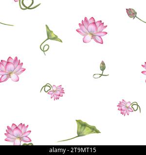 Ornate with white pink lotus flowers, green leaves. Seamless pattern of blooming water lily. Watercolor illustration isolated on white. Stock Photo