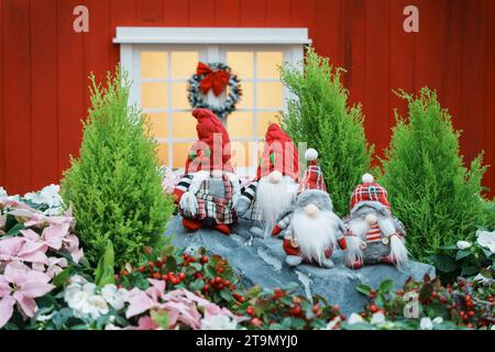 Two cheerful gnomes perched atop a pair of rocks outside of a window, enjoying the view of a blossoming cherry tree in the background Stock Photo