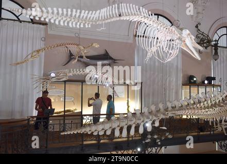 Monaco - June 23, 2019: Visitors in the Oceanographic Museum of Monaco. Stock Photo