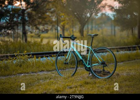 Romantic evening view of a modern teal female road bike seen in green nature. Side rear profile of a modern street or racing bike. Stock Photo