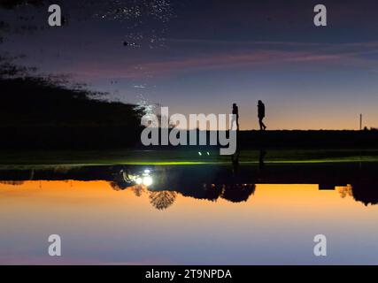 Farmer with tractor fertilizes the meadow with manure in the sunset in Marktoberdorf, Germany Nov 23, 2023. Credit: Imago/Alamy Live News Stock Photo