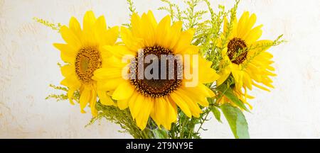 Close-up of three sunflowers on a light background. Floral design for home decor. Stock Photo