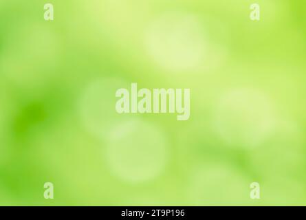 Bright green blurred sparkling nature background. Fresh spring or summer foliage bokeh. Sunlight in the plants leaves. Stock Photo