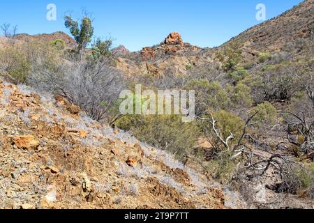 Mawson Valley and the Sitting Bull rock outcrop Stock Photo