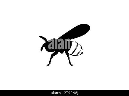 Blanket Octopus minimal style icon illustration design Stock Vector