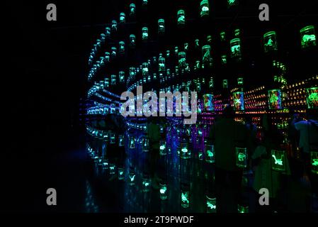 The Library at the HEAL Institute exhibition at the Museum of the Future in the Financial district in Dubai, UAE. Stock Photo