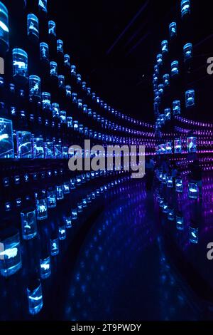 The Library at the HEAL Institute exhibition at the Museum of the Future in the Financial district in Dubai, UAE. Stock Photo